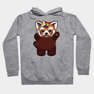 Red Panda Rainbow Hoodie